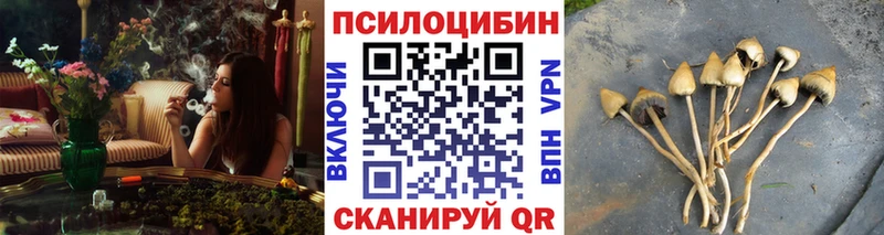 Псилоцибиновые грибы MAGIC MUSHROOMS Салаир