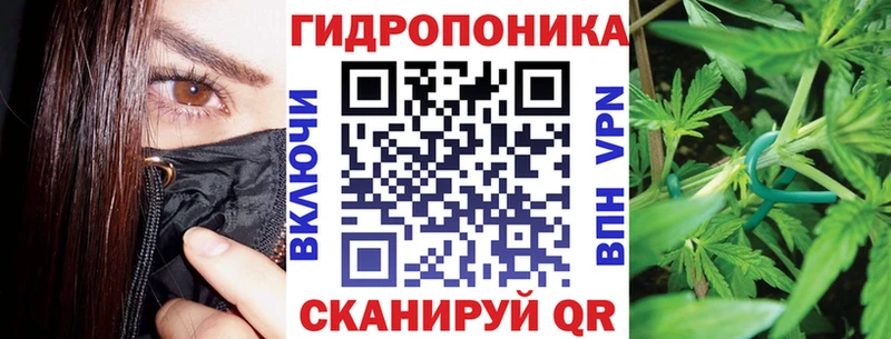 shop телеграм  Салаир  Шишки марихуана марихуана 